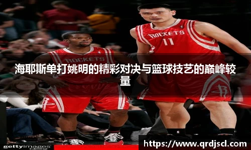 海耶斯单打姚明的精彩对决与篮球技艺的巅峰较量