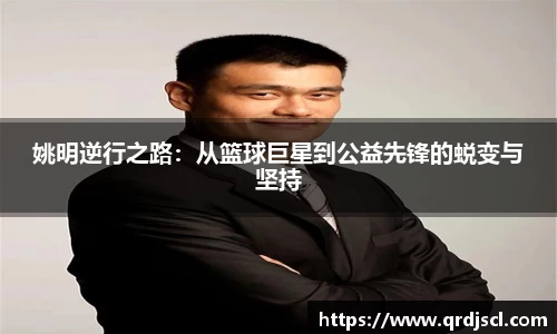 易游m6