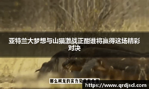 米乐YY易游